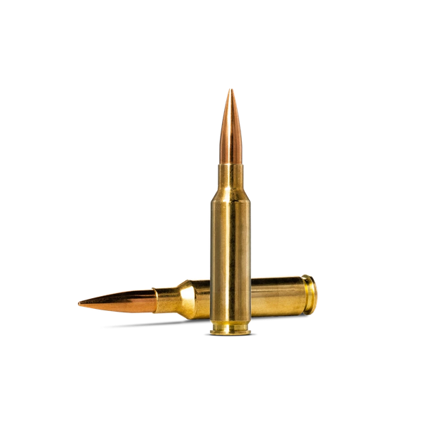 Munitions Norma cal 6.5 CM - 143 grs HPBT Match Golden Target x 20