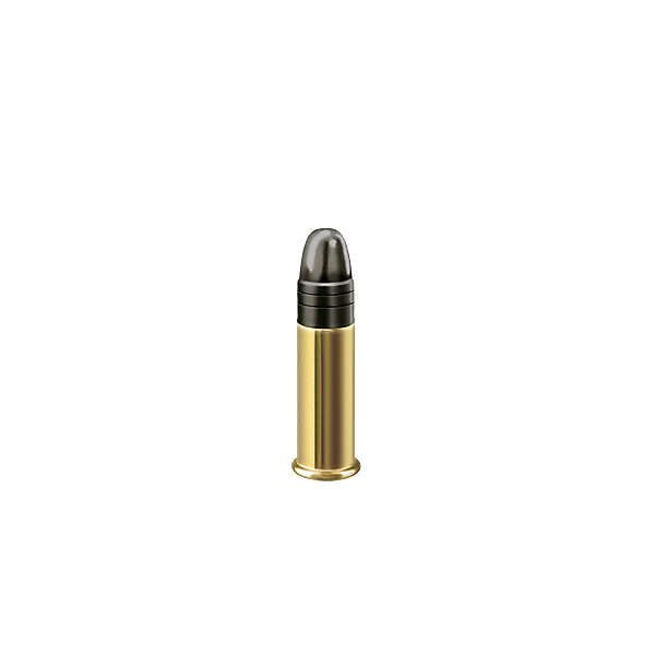 Munitions RWS 22 LR - R100 x 500