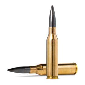 Munitions Norma Diamond Line cal 338 NM - 300 grs HPBT Match x 20