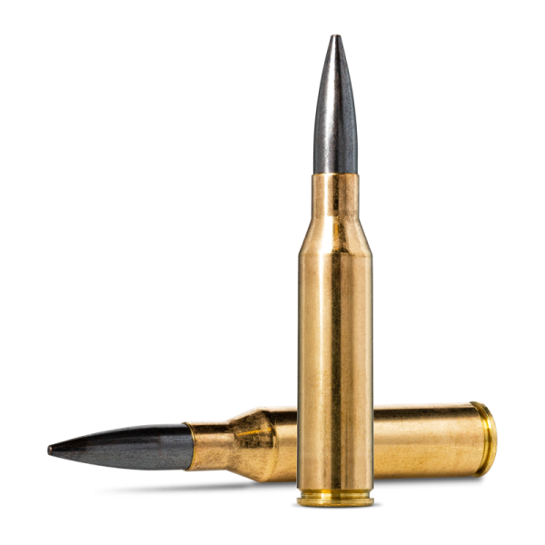 Munitions Norma Diamond Line cal 338 NM - 300 grs HPBT Match x 20