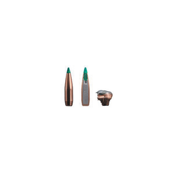 Munitions Sako cal 308 Win - 165 grs Gamehead Pro TSP x 20