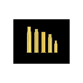 Douilles Winchester 30-06 SPR par 100