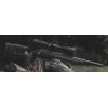 Bergara B14R Trainer Carbon