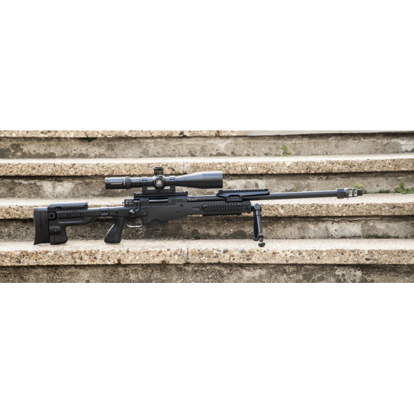 Accuracy International AT cal 308 Win