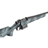 Bergara Extreme Sierra