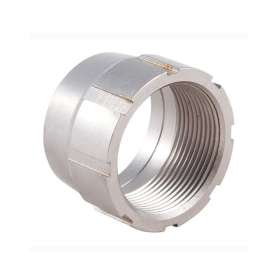 Ecrou de canon Savage