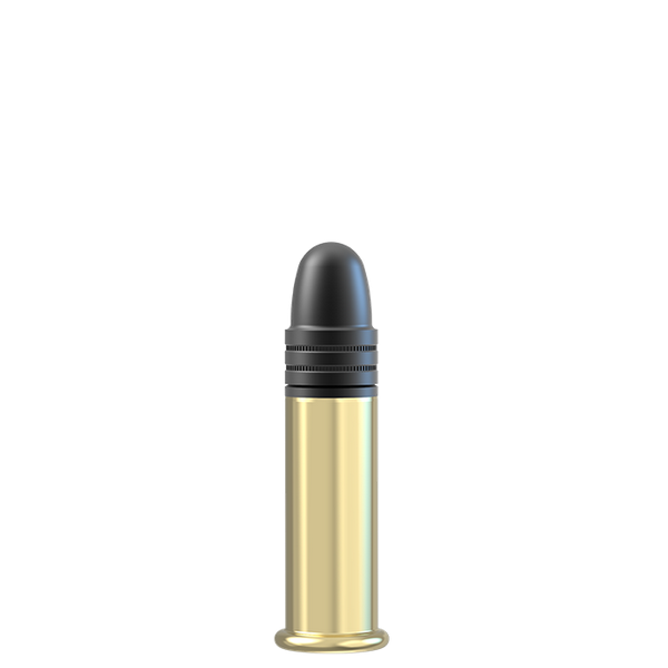 Munitions Lapua .22 LR Super Long Range x 500