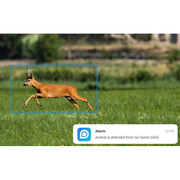 Caméra Reolink GO G450 – 4G sans fil 360° avec vision nocturne - avec panneau solaire autonome