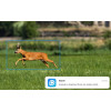 Caméra Reolink GO G450 – 4G sans fil 360° avec vision nocturne - avec panneau solaire autonome