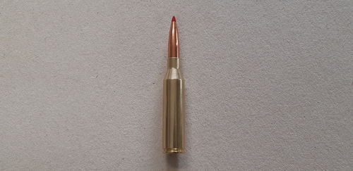 Munition de collection 300 NM - ELD 225 grs