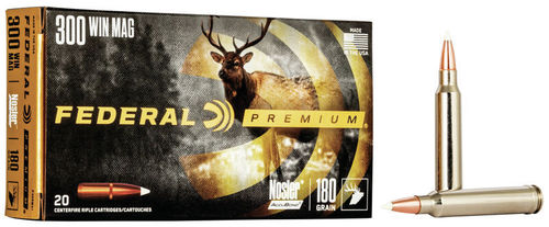 Federal Premium cal 30-06 - 180 grs Accubond x 20
